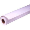 527488 - Epson EPSON paper roll - 260g/m2 - 16-quot; x 30,5m - photo premium glossy - C13S041742