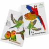 GARDIGO Samolepka siluet ptáků BIRD PROTECTION na okna / barevná nebo černá / sada 5 ks / 3 druhy Barva: Barevná