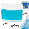KIK Mravenčí akvárium modré