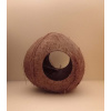 Kokosová skořápka celá (1 otvor)