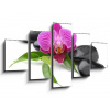 WEBLUX Obraz 5D pětidílný - 125 x 70 cm - orchid, obraz pětidílný 5D, obraz 5D, pětidílný obraz, 5d obraz - DOPRAVA ZDARMA