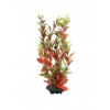 Tetra Akvarijní rostlina Red Ludwigia M 23 cm
