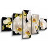 WEBLUX Obraz 5D pětidílný - 125 x 70 cm - White orchids on the black background, obraz pětidílný 5D, obraz 5D, pětidílný obraz, 5d obraz - DOPRAVA ZDARMA