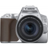 Canon EOS 250D stříbrný + Canon EF-S 18-55mm f/4-5,6 IS STM (3461C001) Digitální zrcadlovka