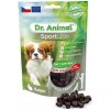 Dr. Animal Sportline rabbit 100 g Dr. Animal Sportline rabbit 100 g