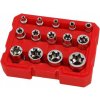 SADA NÁSTRČIEK TORX VNÚTORNÝ E4-E24 14KS TORX SADA NÁSTRČIEK TORX VNÚTORNÝ E4-E24 14KS TORX