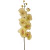 Umelá orchidea kusová 70cm sv. zelená Umelá orchidea kusová 70cm sv. zelená