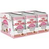 Royal Canin Kitten Instinctive Gravy kapsička pre mačiatka v šťave 36 x 85 g Royal Canin Kitten Instinctive Gravy kapsička pre mačiatka v šťave 36 x 85 g