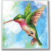 Dante Diamantová výšivka Diamond Dotz Hummingbird 30x31cm DDK5031 Dante Diamantová výšivka Diamond Dotz Hummingbird 30x31cm DDK5031