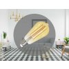NEDES LED žiarovka / filament SLIM 4,5W VINTAGE - ST64 / E27 / 1800K - ZFS101 NEDES LED žiarovka / filament SLIM 4,5W VINTAGE - ST64 / E27 / 1800K - ZFS101