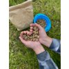 Bohemia Pet Food BOHEMIA COLD Adult Lamb (za studena lisované jahňacie granule) Váha: 10kg Bohemia Pet Food BOHEMIA COLD Adult Lamb (za studena lisované jahňacie granule) Váha: 10kg