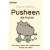 Pusheen, die Katze Pusheen, die Katze