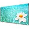 Skleneny obraz Voda kvet umenie 100x50 cm Skleneny obraz Voda kvet umenie 100x50 cm