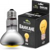 Terrario Banikane Neodymium Light – neodymová výhrevná žiarovka do terária 25W Terrario Banikane Neodymium Light – neodymová výhrevná žiarovka do terária 25W