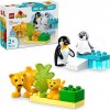 LEGO® DUPLO® 10442 Rodinky divokých zvierat: Tučniaky a levy 5702017783833 LEGO® DUPLO® 10442 Rodinky divokých zvierat: Tučniaky a levy 5702017783833