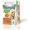 MEGAFYT Detský čaj BIO BROSKYŇA CITRÓN 20 x 2 g MEGAFYT Detský čaj BIO BROSKYŇA CITRÓN 20 x 2 g