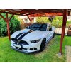 ŠTÝLOVÉ PRUHY FORD MUSTANG ČIERNE LESKLÉ ŠTÝLOVÉ PRUHY FORD MUSTANG ČIERNE LESKLÉ