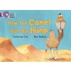 How the Camel Got His Hump (Petr Horáček)(Brožovaná) How the Camel Got His Hump (Petr Horáček)(Brožovaná)