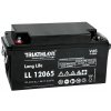 TRIATHLON LL12065 (12V - 65Ah) Záložná batéria TRIATHLON LL12065 (12V - 65Ah) Záložná batéria