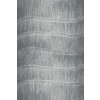 Kusový koberec Tytus grey 80 x 120 cm Kusový koberec Tytus grey 80 x 120 cm