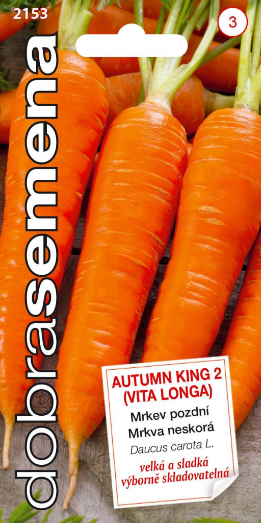 Dobré semená Mrkva - Autumn King 2 (Vita Longa) neskoré 3g