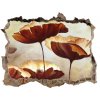 Díra 3D foto tapeta nálepka Maki 95x64 cm Díra 3D foto tapeta nálepka Maki 95x64 cm