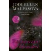 Rafinované klamstvá - Ellen Jodi Malpas