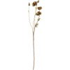 Umelá kvetina výška 104 cm POPPY Bloomingville - hnedá Umelá kvetina výška 104 cm POPPY Bloomingville - hnedá