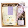 GIFTOLOGY Relaxačný darček pre ženu – BLOOM Farba: Fialová GIFTOLOGY Relaxačný darček pre ženu – BLOOM Farba: Fialová
