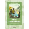 Chata v Jezerní kotlině - Jaroslav Foglar Chata v Jezerní kotlině - Jaroslav Foglar