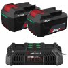 Parkside® Akumulátor 20 V/4 Ah PAP 204 A1, 2 kusy + Dvojitá nabíjačka na akumulátor 20 V/4,5 A (800012281) Parkside® Akumulátor 20 V/4 Ah PAP 204 A1, 2 kusy + Dvojitá nabíjačka na akumulátor 20 V/4,5 A (800012281)