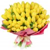Radostné tulipány: 21 Radostné tulipány: 21