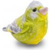 Hrající ptáček Zvonek zelený Hrající ptáček Zvonek zelený