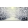 Foto obraz akrylové sklo Pekný zimný les 100x50 cm Foto obraz akrylové sklo Pekný zimný les 100x50 cm