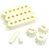 Fender American Vintage 60 Stratocaster Kit