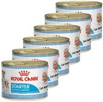 Royal Canin Mini Starter Mousse 6 x 195 g