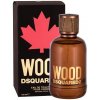 Dsquared2 Wood 100 ml toaletní voda pro muže Dsquared2 Wood 100 ml toaletní voda pro muže