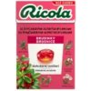 RICOLA Bylinné cukríky bez cukru brusnica 40 g RICOLA Bylinné cukríky bez cukru brusnica 40 g