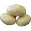 Zemiaky DALI sadbové žlté rané 10 kg Zemiaky DALI sadbové žlté rané 10 kg