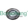 Zotrvačník Borsehung B10919 Zotrvačník Borsehung B10919