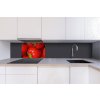 DIMEX | Dibond doska za kuchynskú linku | DBW-06040-025 Jahody | 60 x 40 cm + Dibond obkladová doska Dimex do kuchyne Jahody v rozmere 60 x 40 cm + lepidlo zadarmo DIMEX | Dibond doska za kuchynskú linku | DBW-06040-025 Jahody | 60 x 40 cm + Dibond obkladová doska Dimex do kuchyne Jahody v rozmere 60 x 40 cm + lepidlo zadarmo