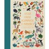 Veľká kniha rozprávok o zvieratách - Aitch (ilustrátor), Angela McAllister Veľká kniha rozprávok o zvieratách - Aitch (ilustrátor), Angela McAllister