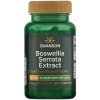 Výťažok swanson boswellia serrata (podpora kĺbov) 60 vegetariánskych kapsúl Výťažok swanson boswellia serrata (podpora kĺbov) 60 vegetariánskych kapsúl
