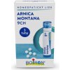Arnica Montana gra. 3x4 g 9CH