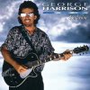 LP George Harrison: Cloud Nine LP George Harrison: Cloud Nine