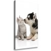 Vertikálny foto obraz na plátne do obývačky Pes a mačka 50x100 cm Vertikálny foto obraz na plátne do obývačky Pes a mačka 50x100 cm