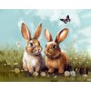 ZUTY Obrazy na stenu - Králiky a motýľ Rámovanie: vypnuté plátno na rám, Rozmer: 40x50 cm ZUTY Obrazy na stenu - Králiky a motýľ Rámovanie: vypnuté plátno na rám, Rozmer: 40x50 cm
