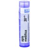 Apis Mellifica gra.1 x 4 g 30CH Apis Mellifica gra.1 x 4 g 30CH