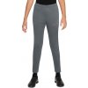 Nike | K NK DF ACD23 PANT KPZ BR | šedá| XL(158-170cm) Nike | K NK DF ACD23 PANT KPZ BR | šedá| XL(158-170cm)