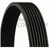 Toyota RAV 4 11/05-2/09 drážkový remeň /CONTITECH/ Toyota RAV 4 11/05-2/09 drážkový remeň /CONTITECH/